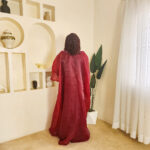 The Burgundy Luxe Embriodered Organdy boubou - Image 4